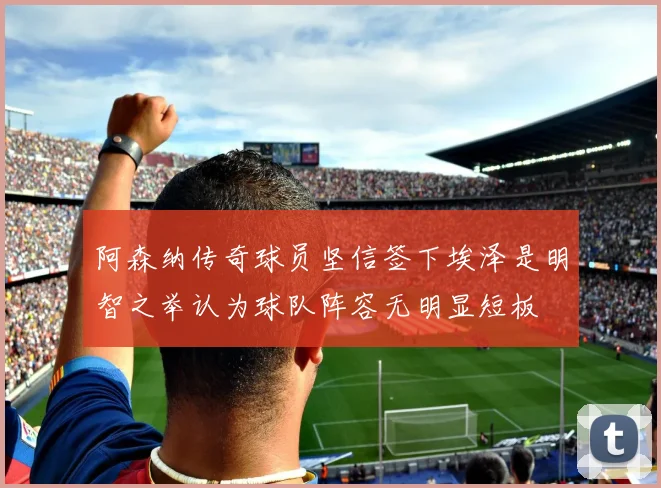 阿森纳传奇球员坚信签下埃泽是明智之举认为球队阵容无明显短板
