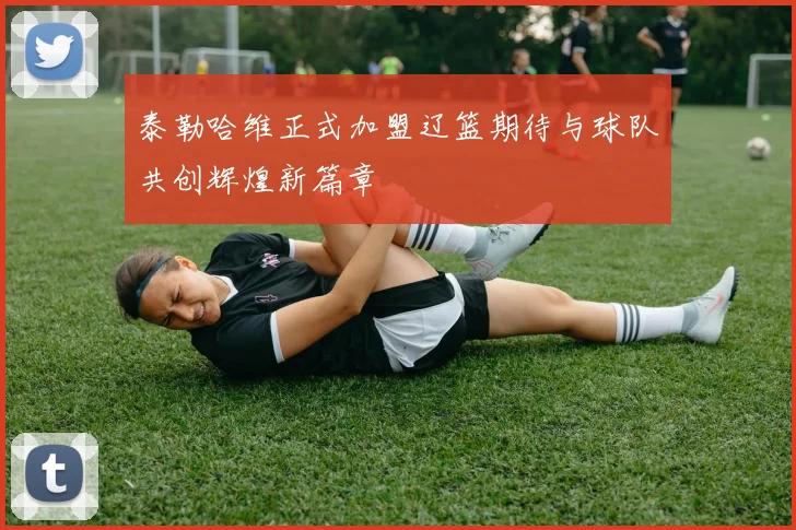 泰勒哈维正式加盟辽篮期待与球队共创辉煌新篇章