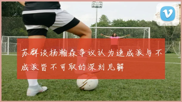 苏群谈杨瀚森争议认为速成派与不成派皆不可取的深刻见解