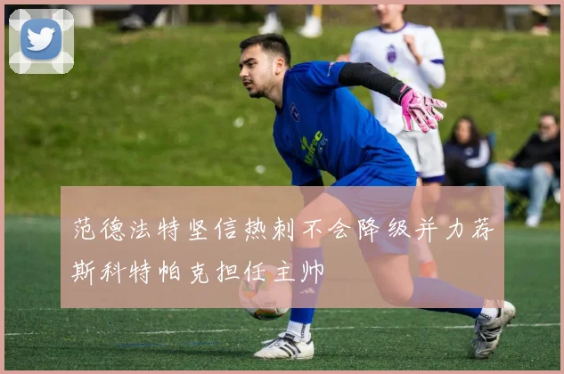范德法特坚信热刺不会降级并力荐斯科特帕克担任主帅
