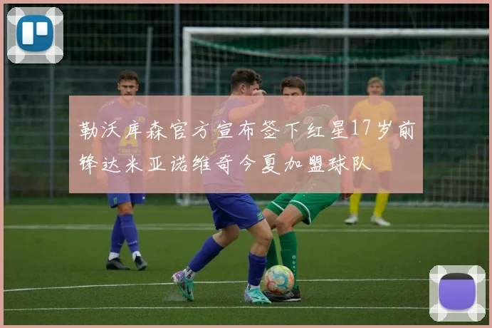 勒沃库森官方宣布签下红星17岁前锋达米亚诺维奇今夏加盟球队