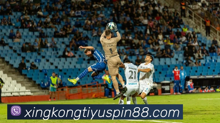 多媒体互动体验